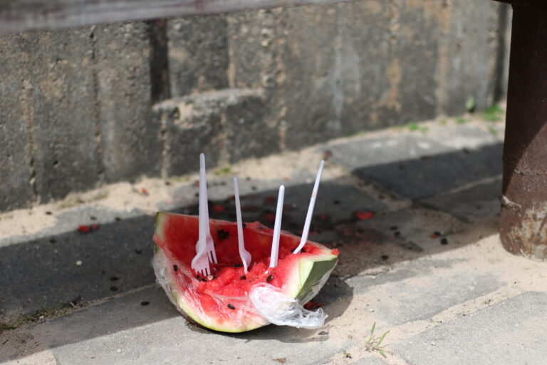 Garam Arbuzs Fotomarta 1