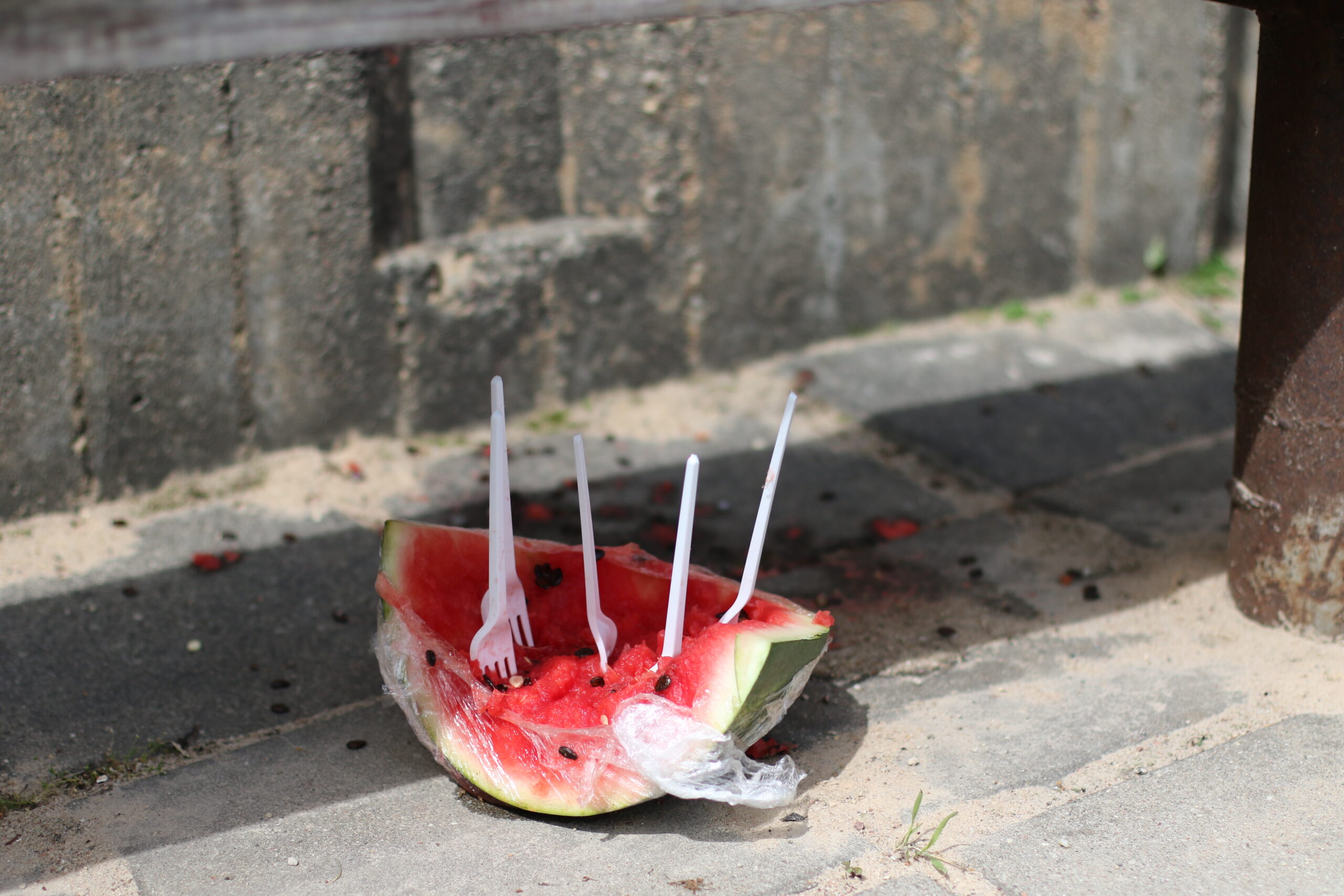 Garam Arbuzs Fotomarta 1