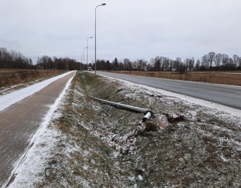 Cesis Peteraiela 02012021 1