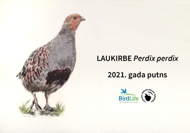 Laukirbe Gadaputns2021 Publicitatesattels 1