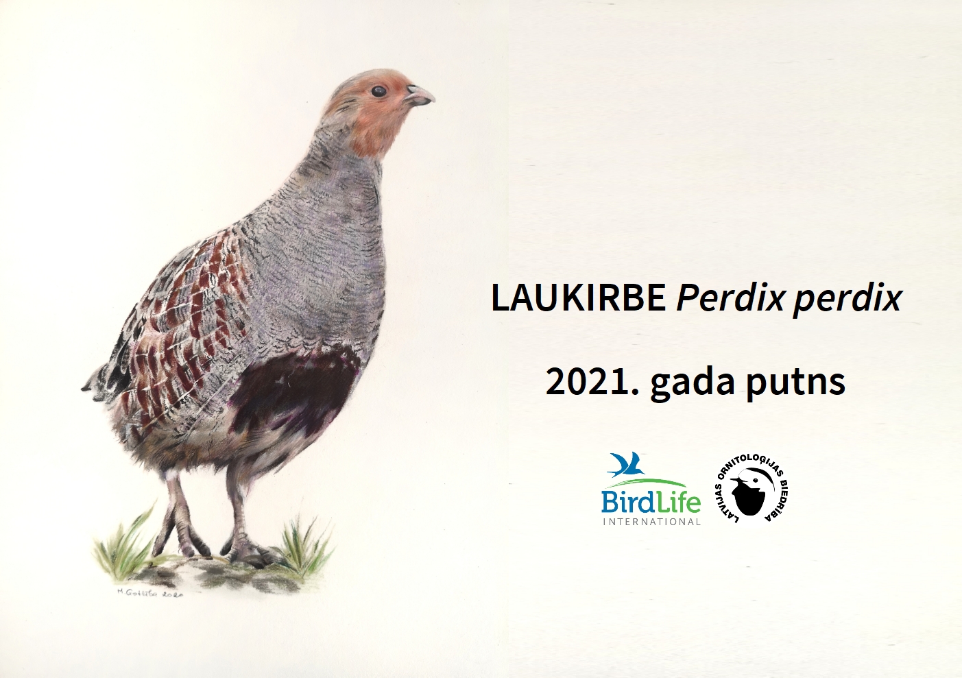 Laukirbe Gadaputns2021 Publicitatesattels 1