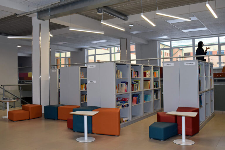 Biblioteka Cesu2psk