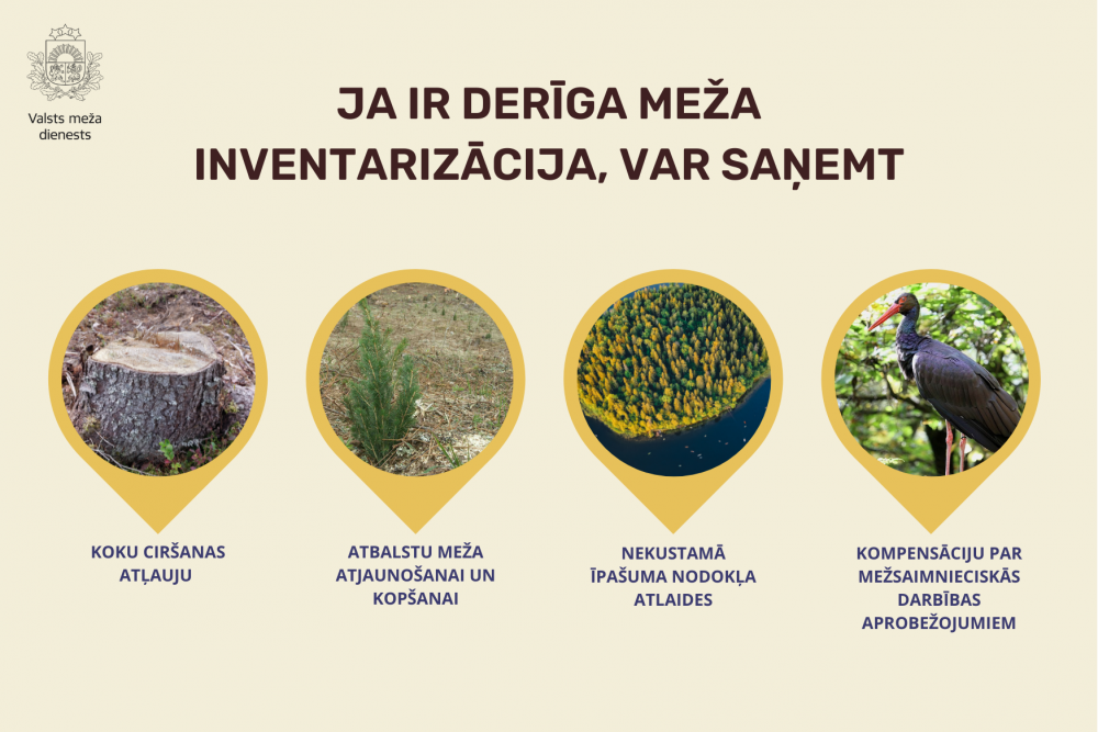 Mezi 1