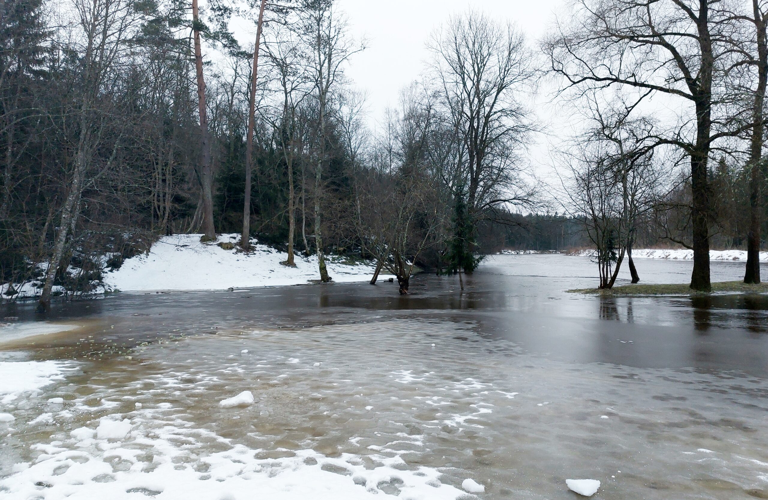 Gauja