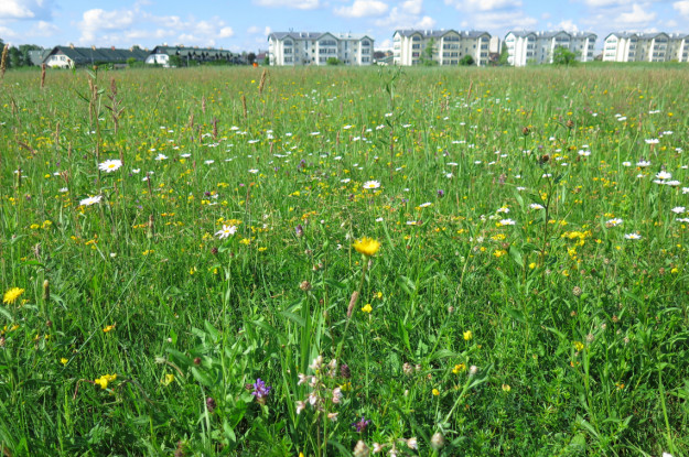 12478 Salaspils Plava 2 1