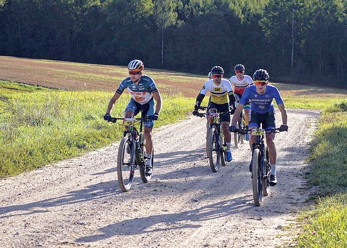 Apes Maratons 1