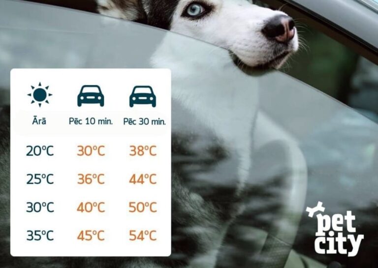 Temperaturas Izmainas 1