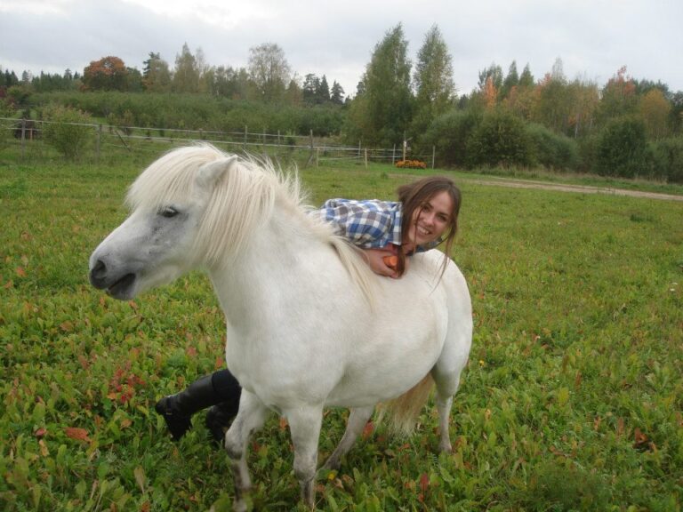 Arta 2
