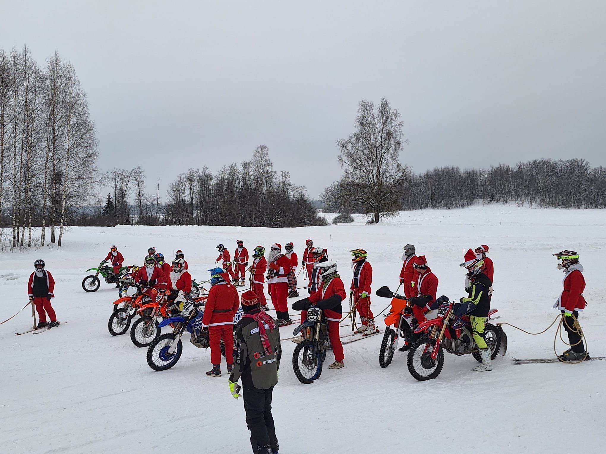 Skijorings