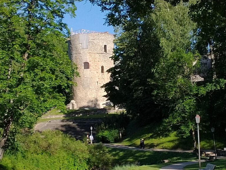 Ztornis2