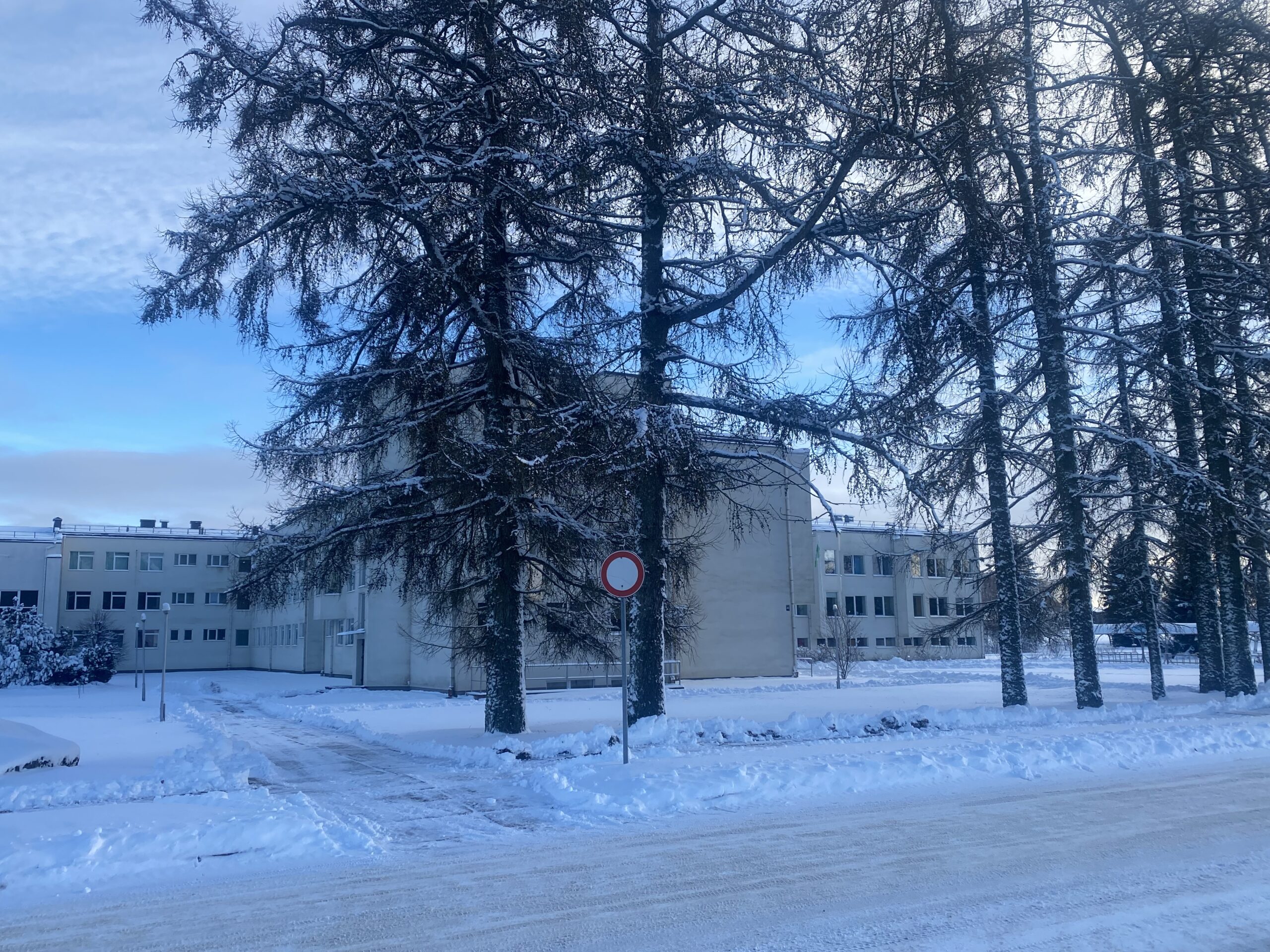 Skola1