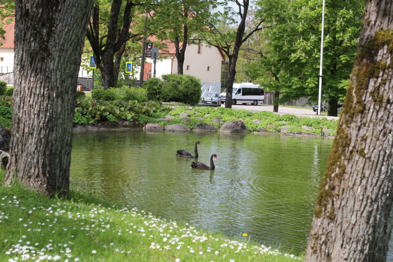 Melnie 25 (3)