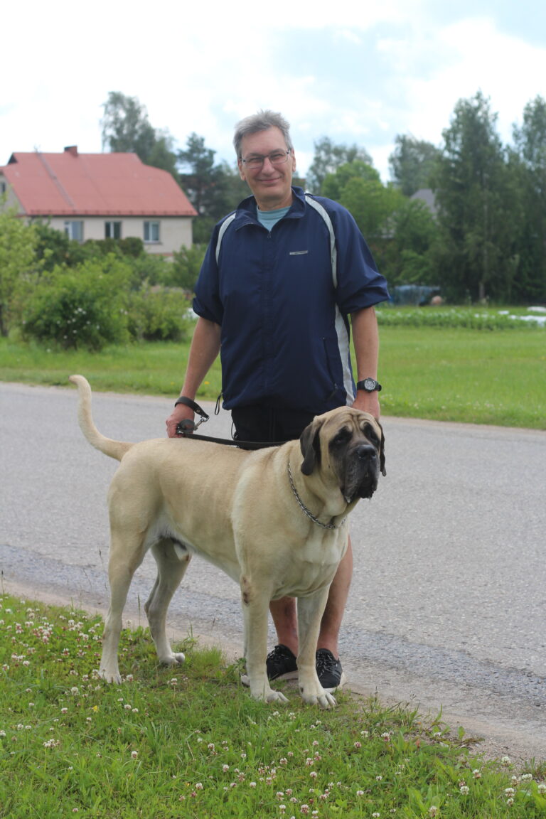 Priekuli Ozijs