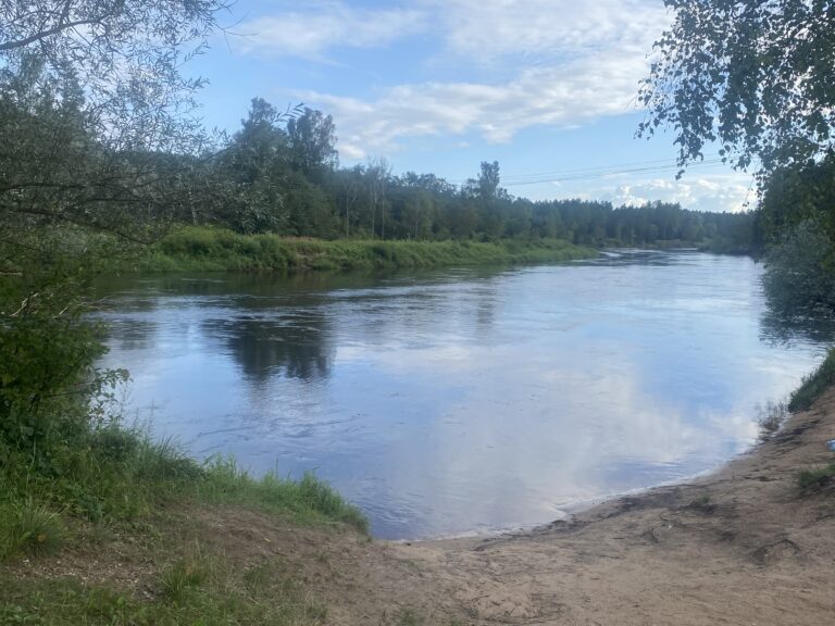 Gauja1